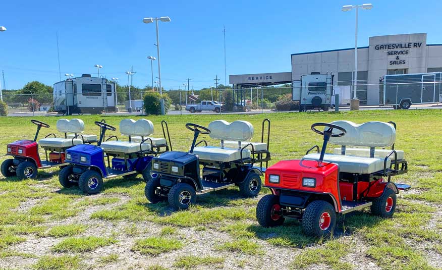 Purple SX3 Golf Cart