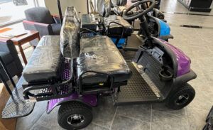 Cricket Cart RX5 Purple